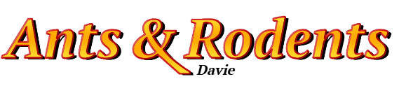 Davie Ant Exterminator & Rodent Control Company Logo